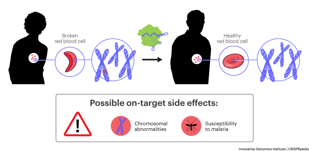 Crispr in Medicine