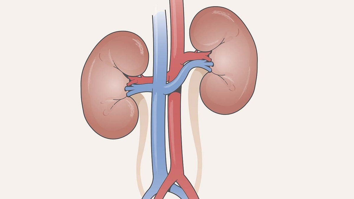 pvr in kidney ultrasound